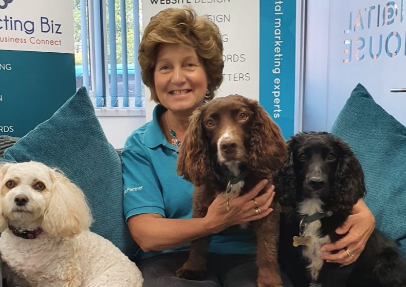 Digital house offices welcome friendly dogs to visit.